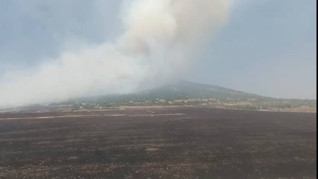 Kahramanmaraş'taki orman yangını kontrol altına alındı 6
